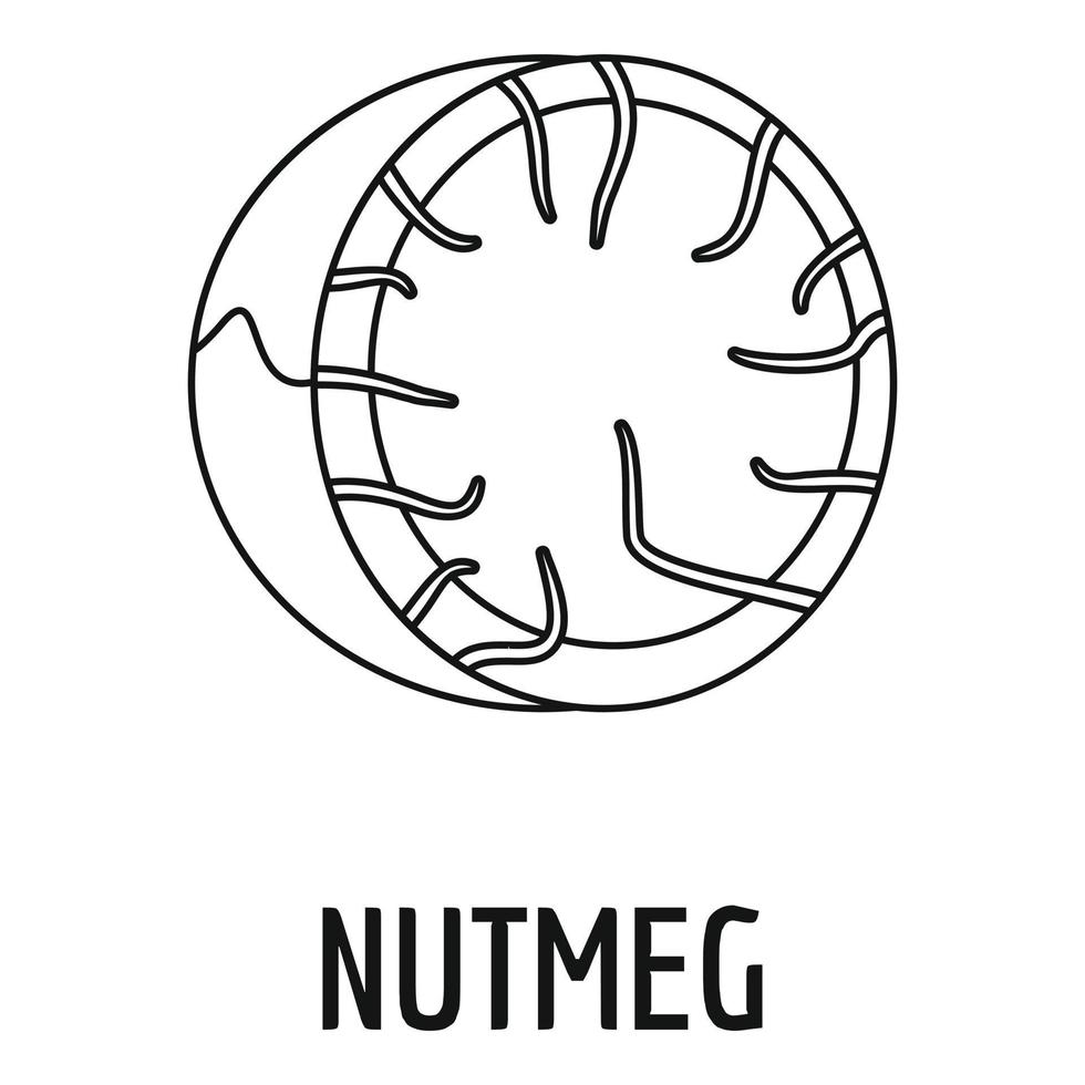 Nutmeg icon, outline style vector