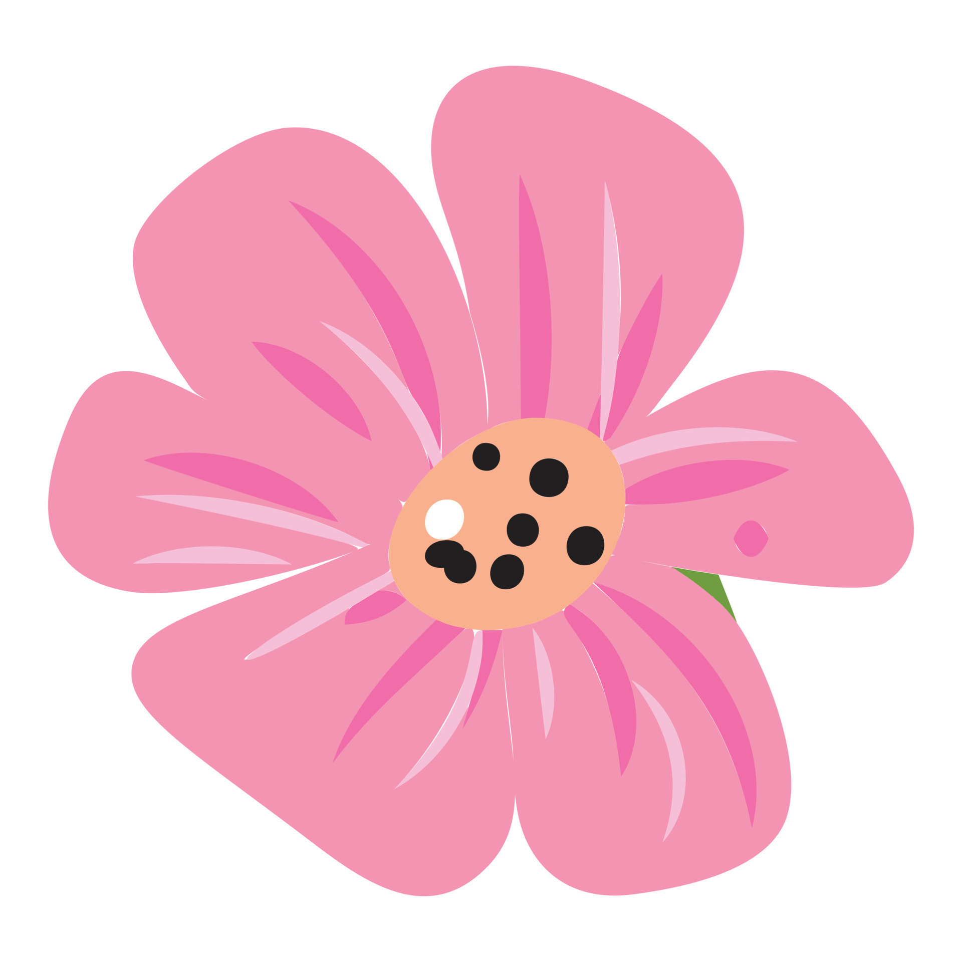 icono de flor rosa tropical, estilo de dibujos animados 14491613 Vector en  Vecteezy