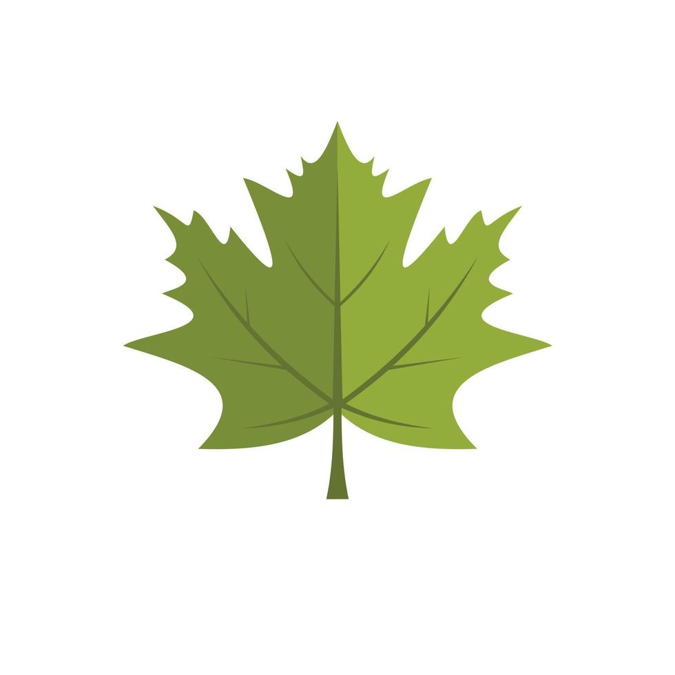 Maple leaf icon, flat style vector