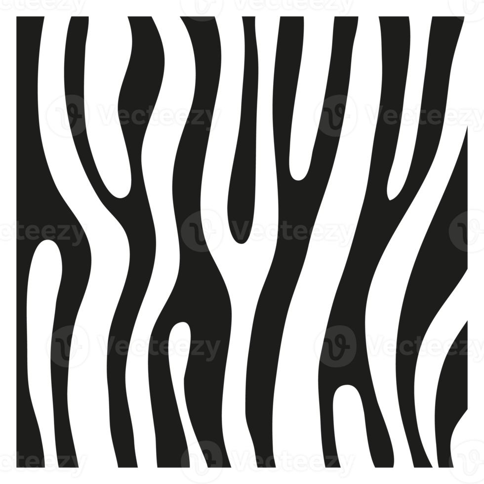 svarta ränder på huden på en zebra för dekorationsgrafik png