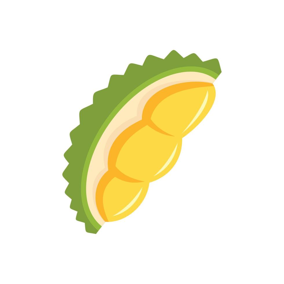 Fresh durian piece icon, flat style vector