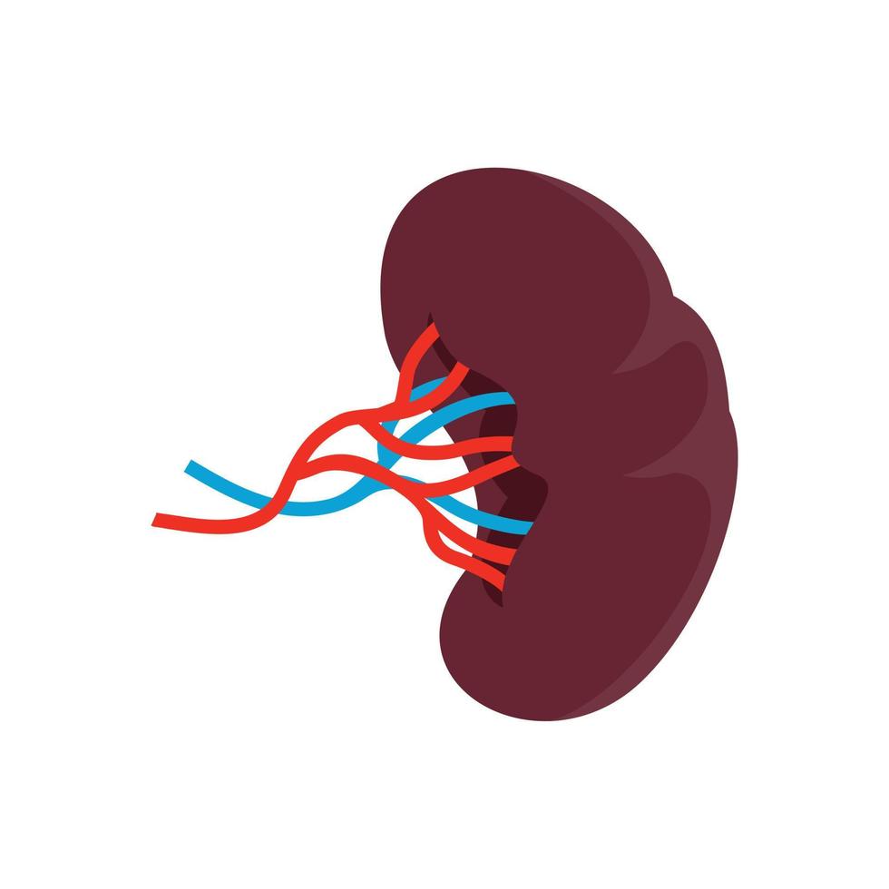 Sick kidney icon, flat style vector