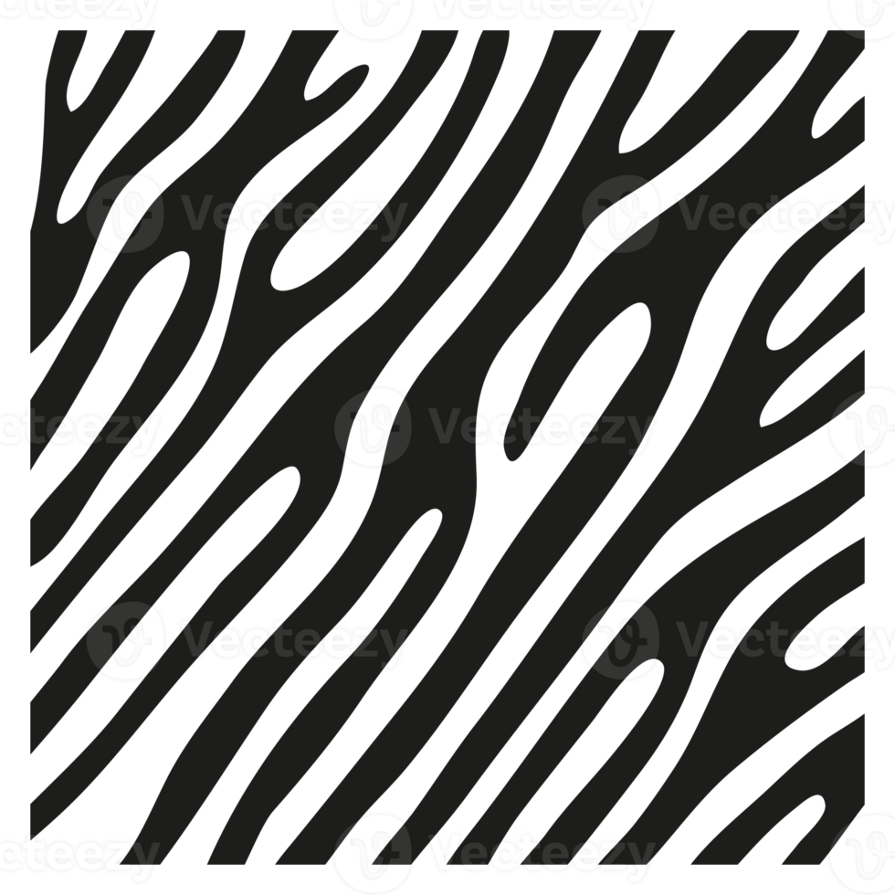 strisce nere sulla pelle di una zebra per decorazioni grafiche png