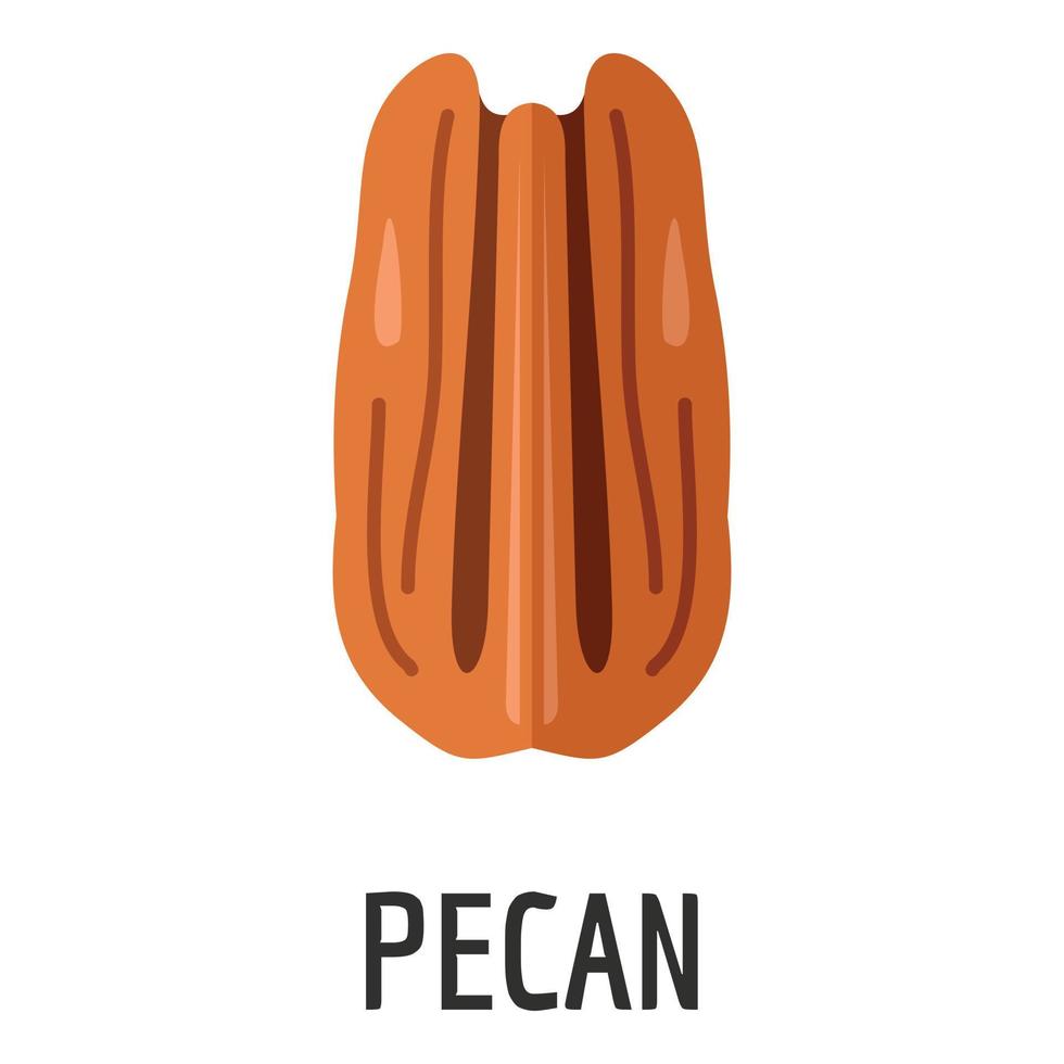 Pecan icon, flat style vector