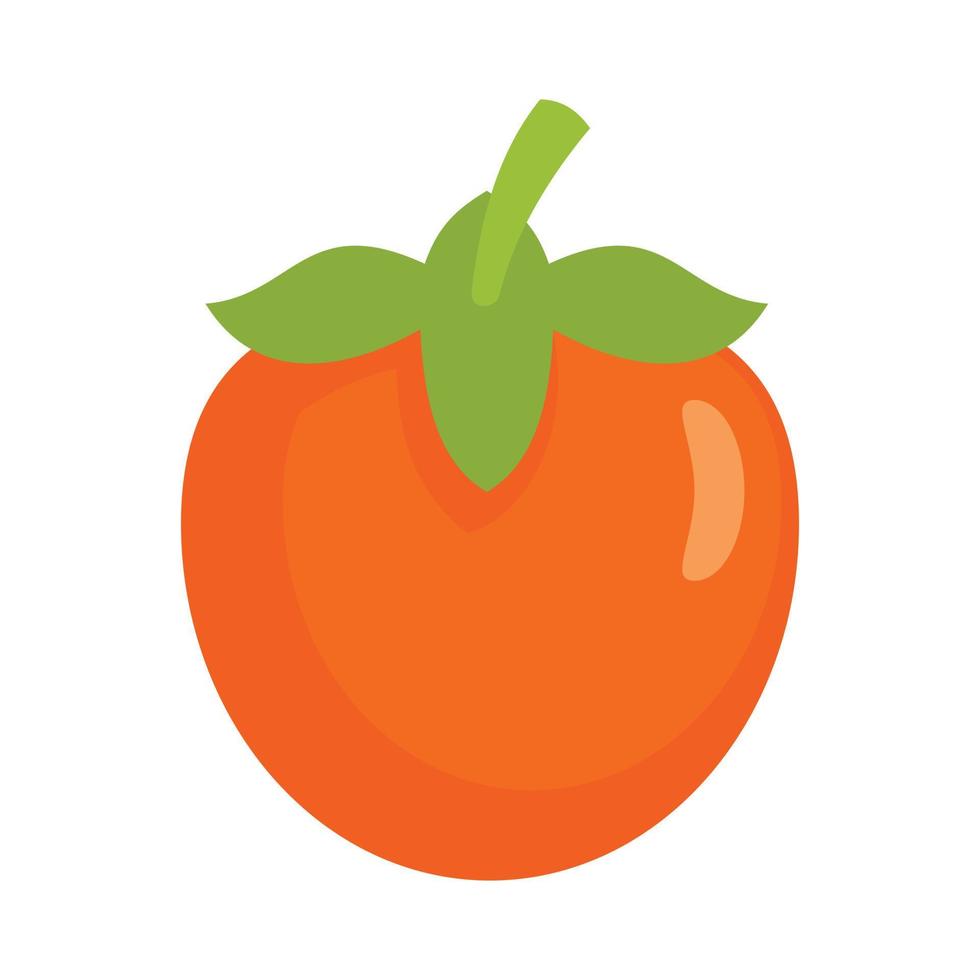 Fresh persimmon icon, flat style vector