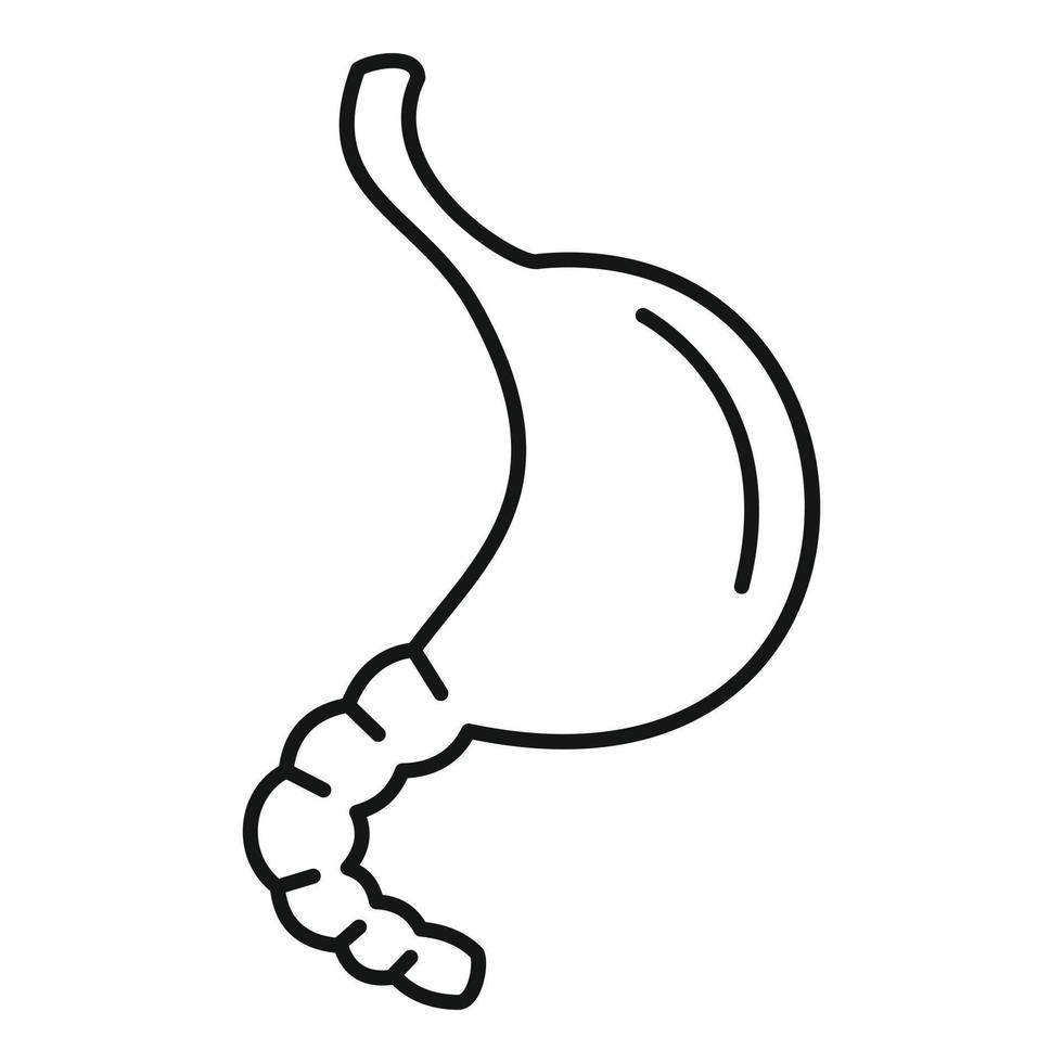 Stomach icon, outline style vector