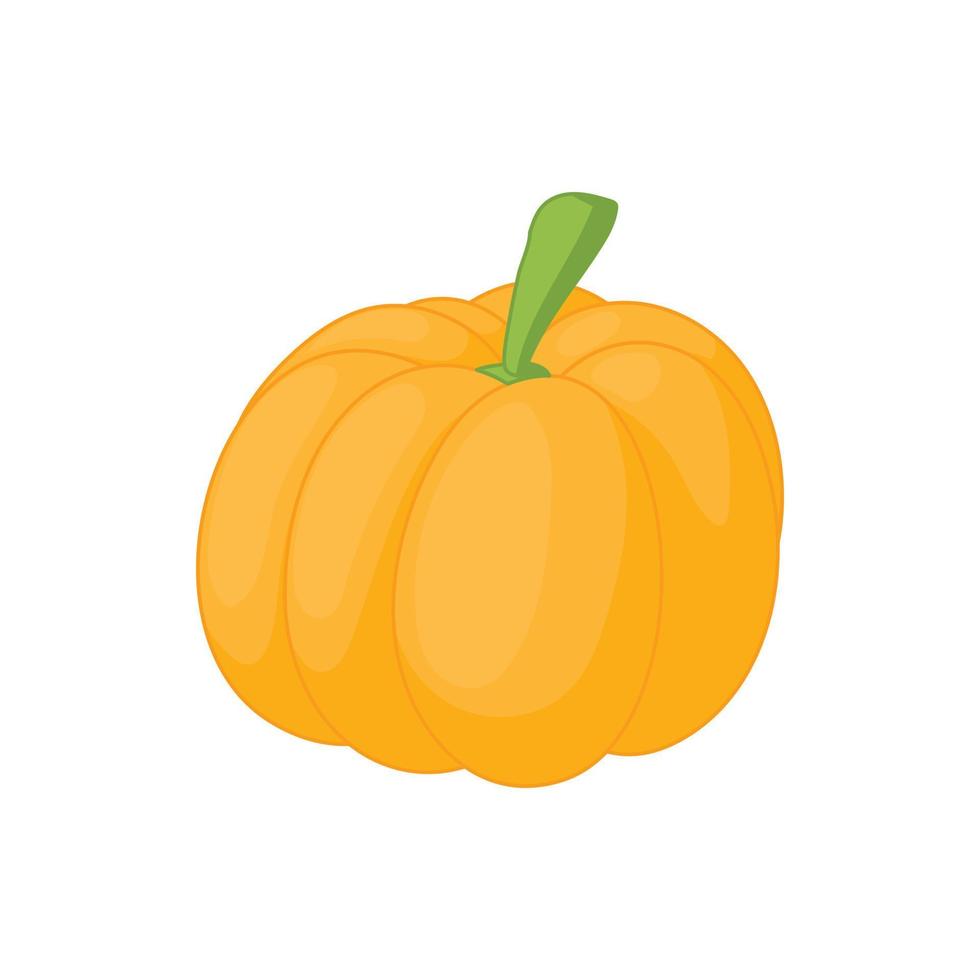 Pumpkin icon in cartoon style vector