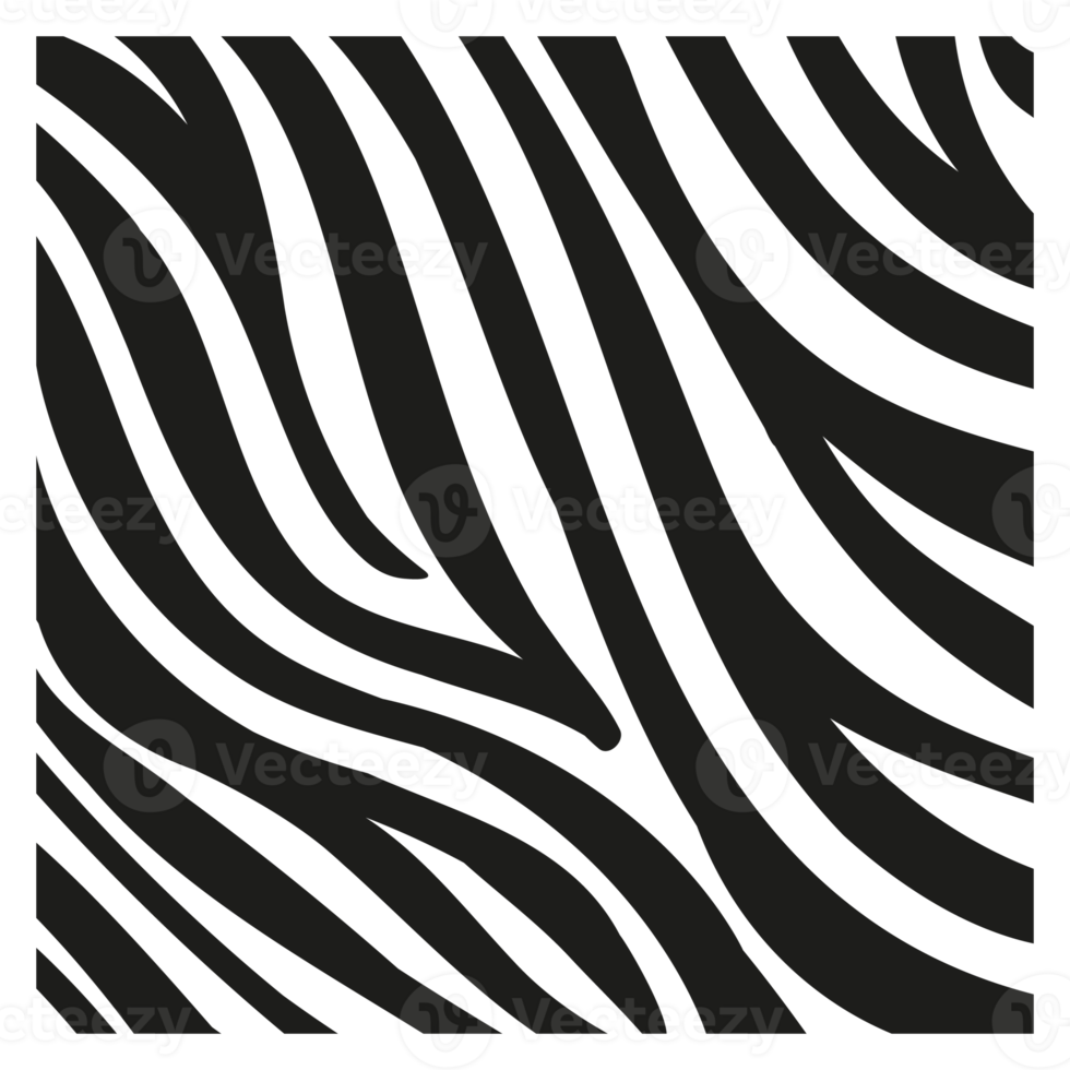 zwarte strepen op de huid van een zebra voor decoratie graphics png