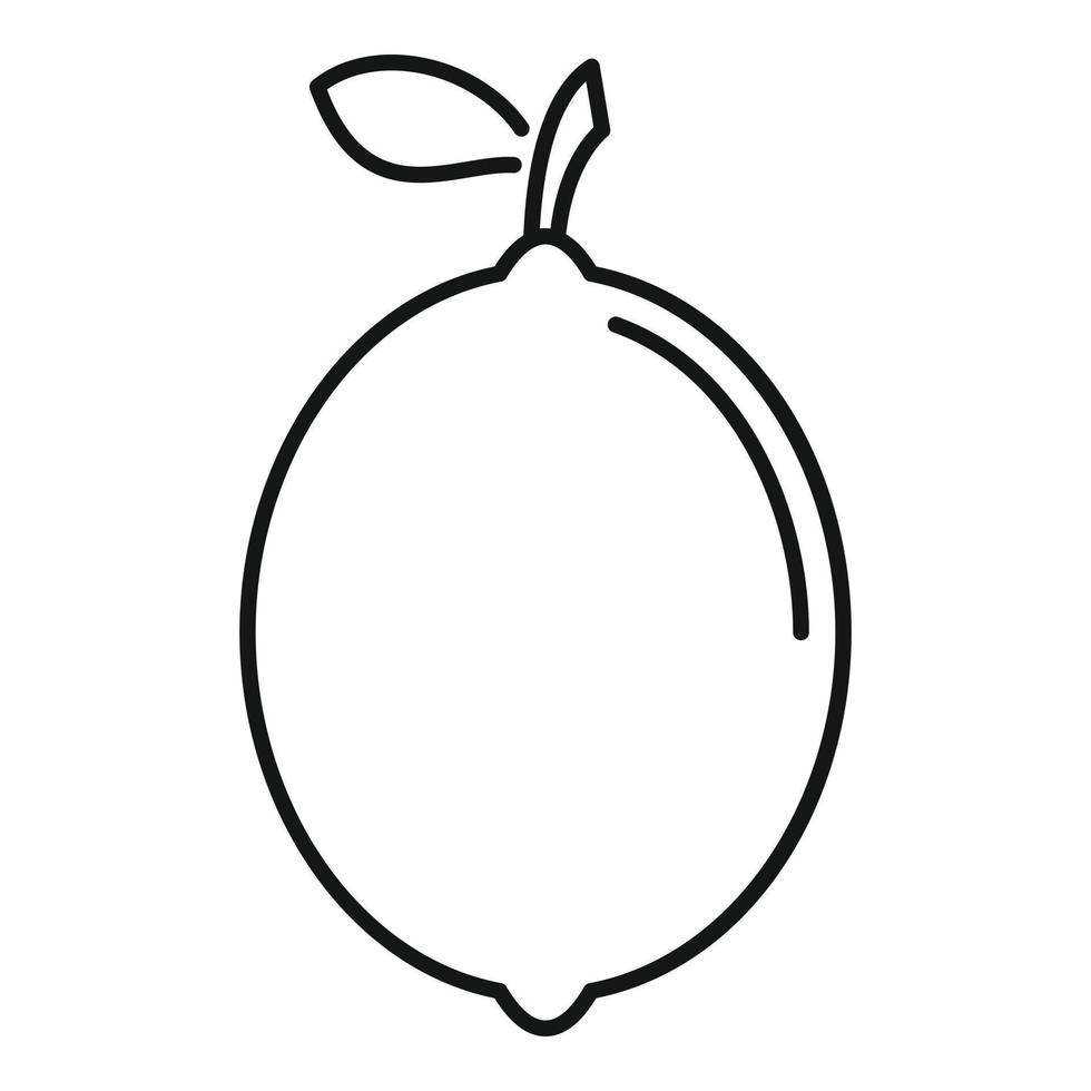 Whole lime icon, outline style vector