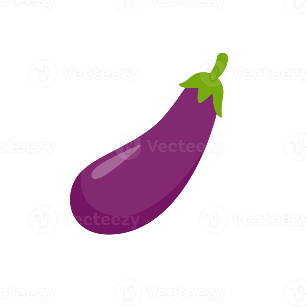 Eggplant. Ingredients for healthy cooking. png