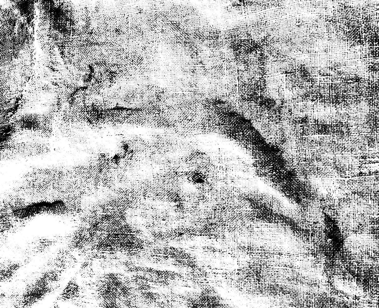 Grunge dots and points vector texture background. Abstract grainy overlay. Vintage grain backdrop.