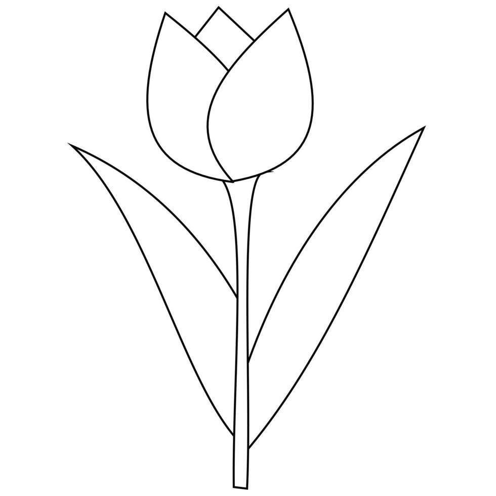 tulip coloring page. It is suitable for use in children's coloring books as well as a medium for introducing the shape of tulips using the coloring method vector