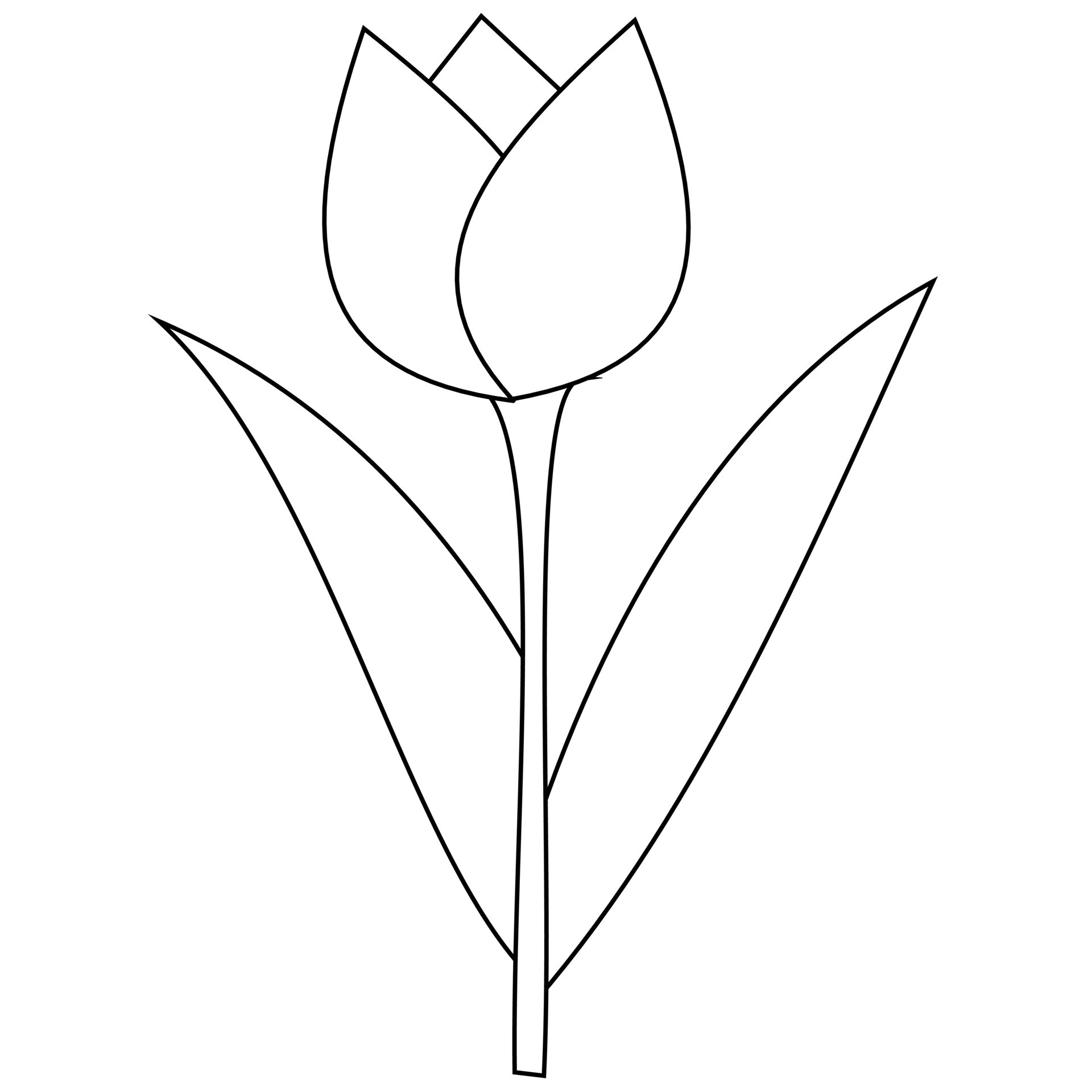 tulip coloring page. It is suitable for use in children's coloring