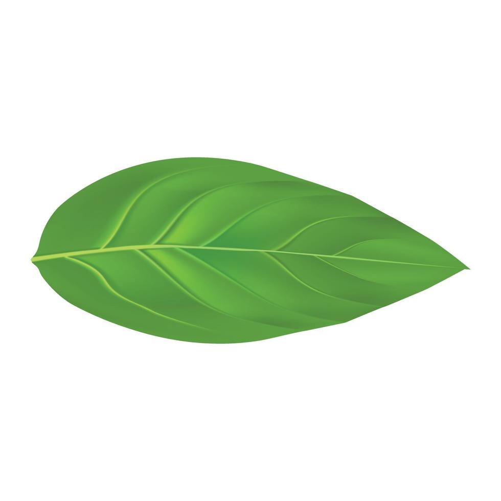 Peach leaf mockup, realistic style vector