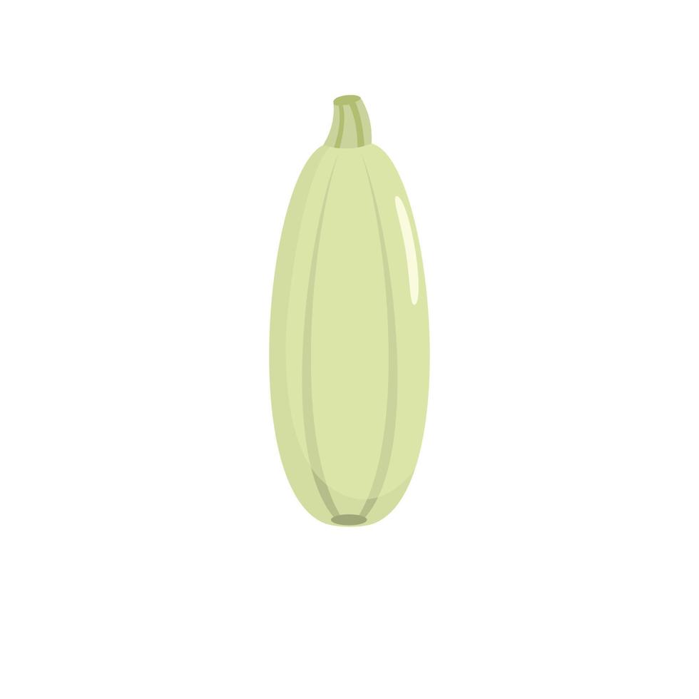 Zucchini icon, flat style. vector