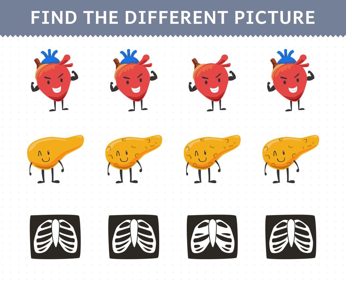 Education game for children find the different picture in each row cute cartoon human anatomy and organ heart pancreas rib x-ray vector