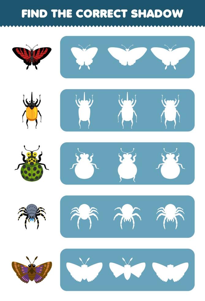 Education game for children find the correct shadow silhouette of cute cartoon butterfly beetle ladybug spider moth printable bug worksheet vector