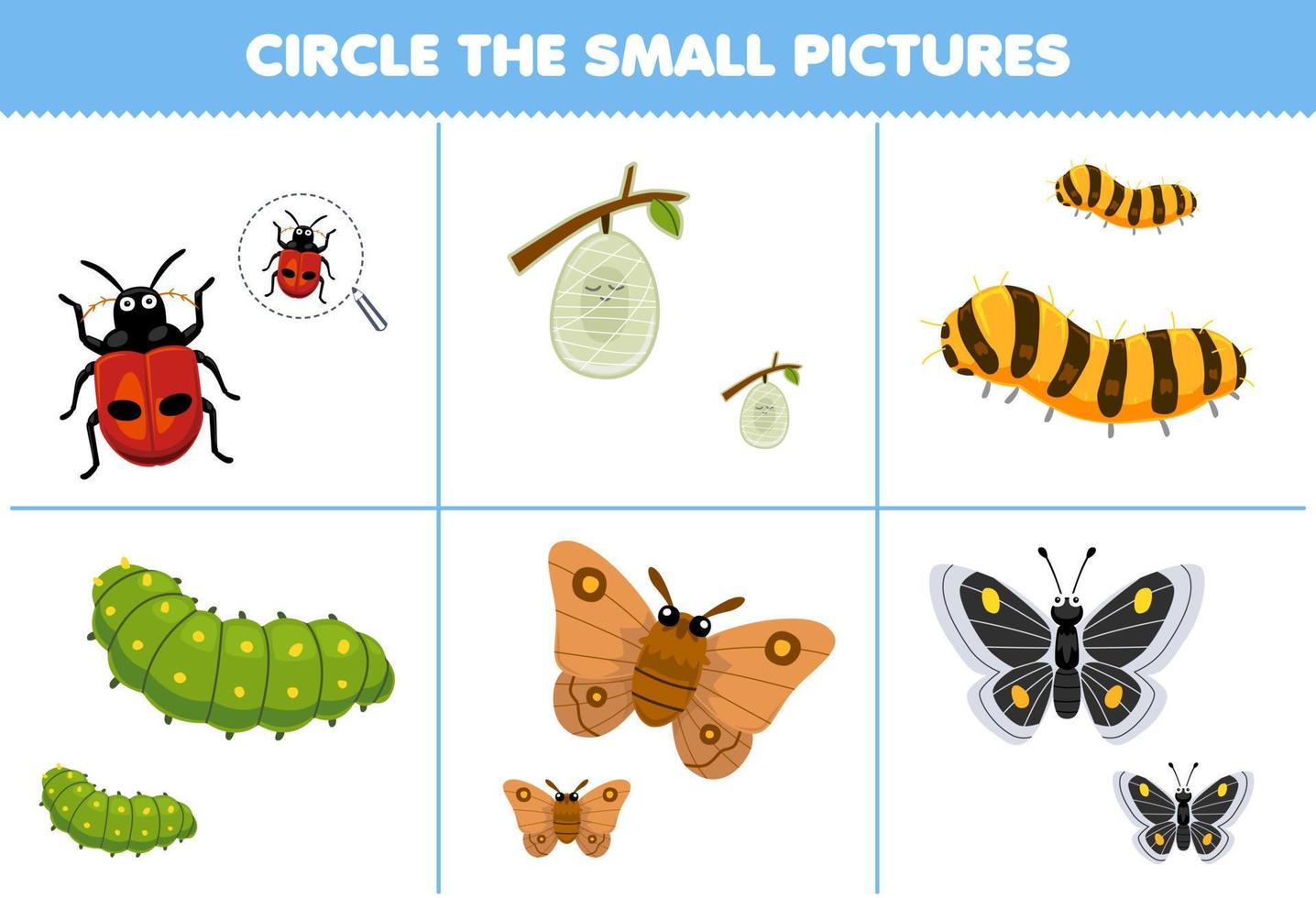 juego educativo para niños elija la imagen pequeña de la linda caricatura mariquita capullo gusano de seda oruga polilla mariposa hoja de trabajo de error imprimible vector