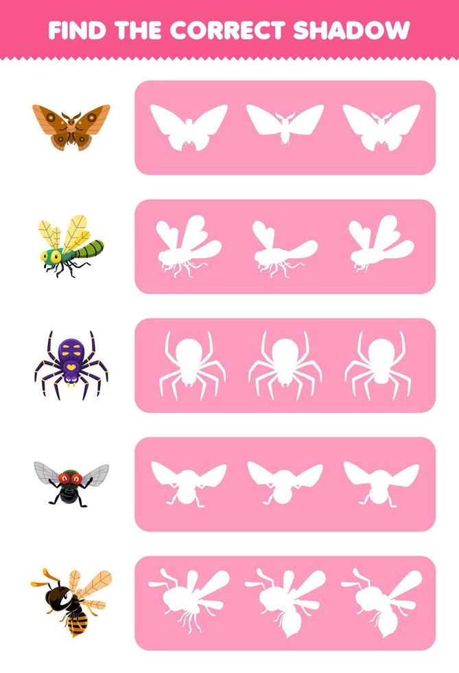 Education game for children find the correct shadow silhouette of cute cartoon butterfly dragonfly spider fly bee printable bug worksheet vector