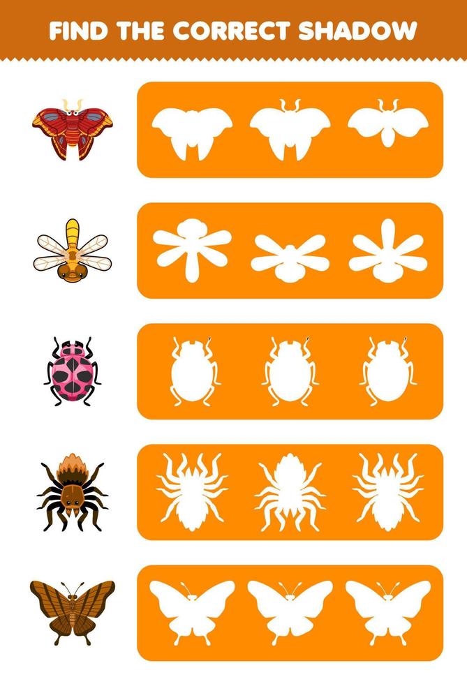 Education game for children find the correct shadow silhouette of cute cartoon moth dragonfly ladybug spider butterfly printable bug worksheet vector