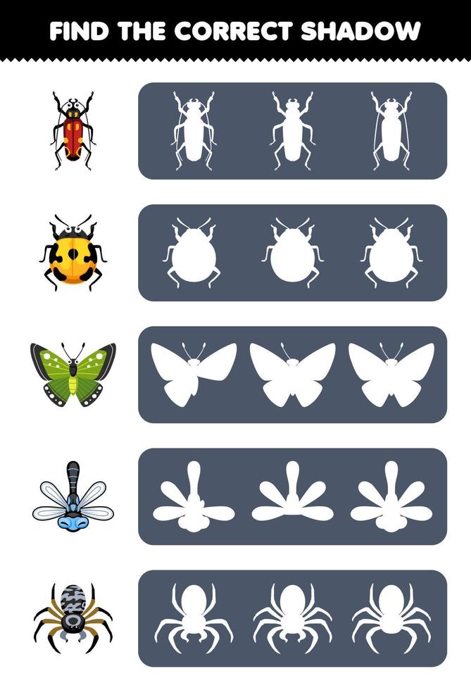 Education game for children find the correct shadow silhouette of cute cartoon beetle ladybug butterfly dragonfly spider printable bug worksheet vector
