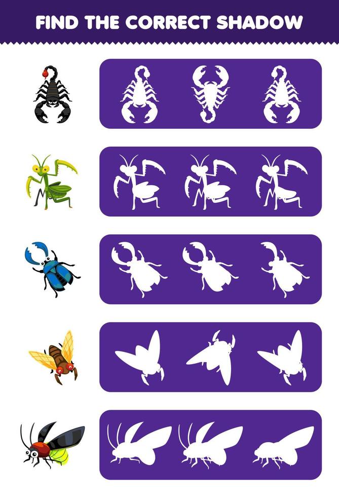 Education game for children find the correct shadow silhouette of cute cartoon scorpion mantis beetle cicada firefly printable bug worksheet vector