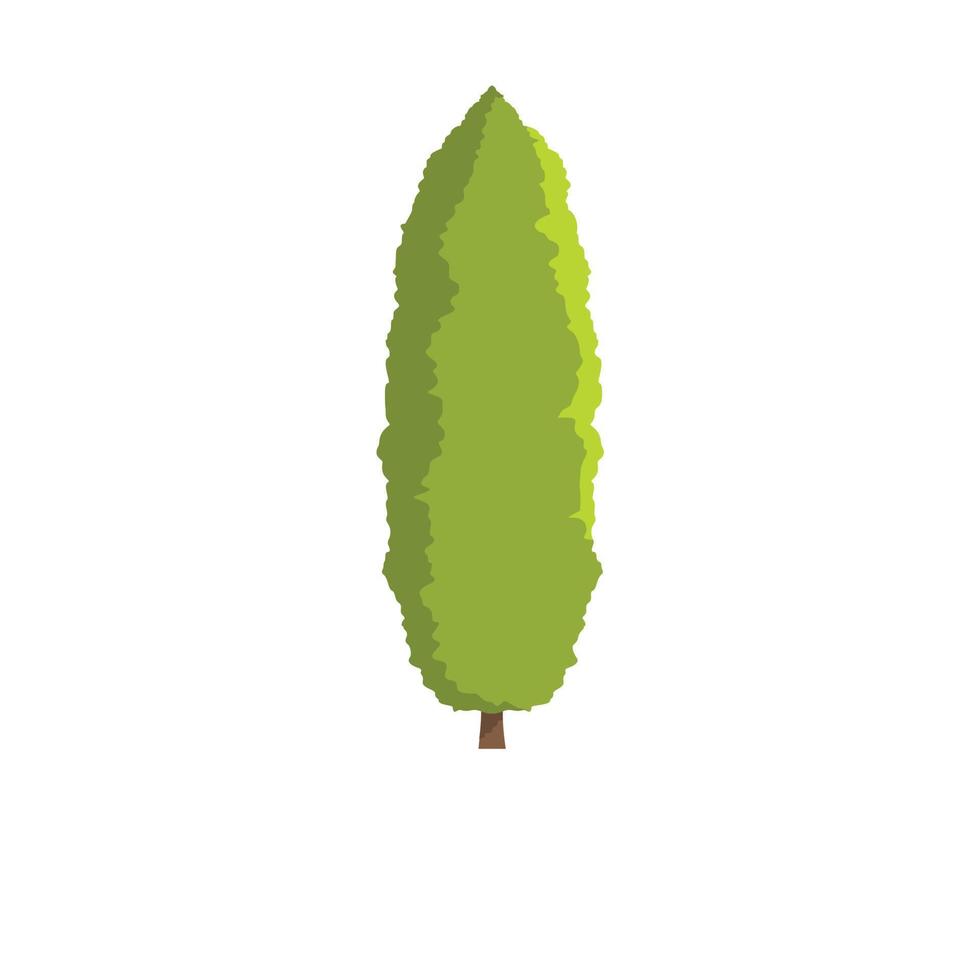 Thuja tree icon, flat style vector
