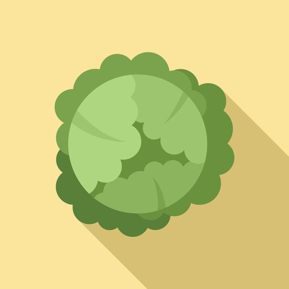 Food cabbage icon, flat style vector