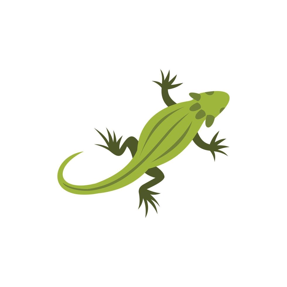 Chameleon icon in flat style vector