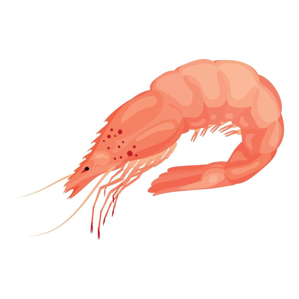 Raw shrimp icon, cartoon style vector