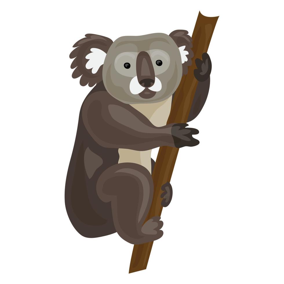 Koala icon, cartoon style vector