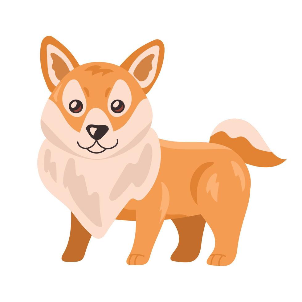 lindo perro shiba inu vector