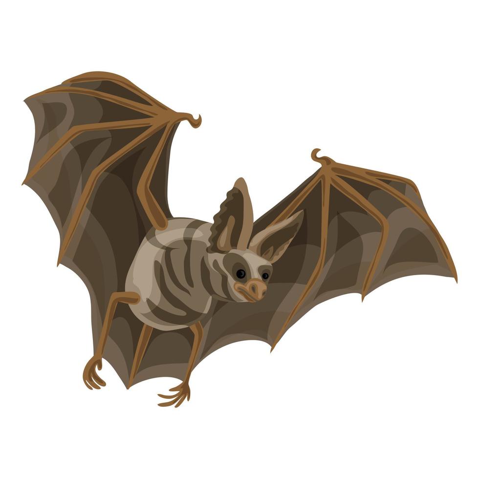 Wild bat icon, cartoon style vector