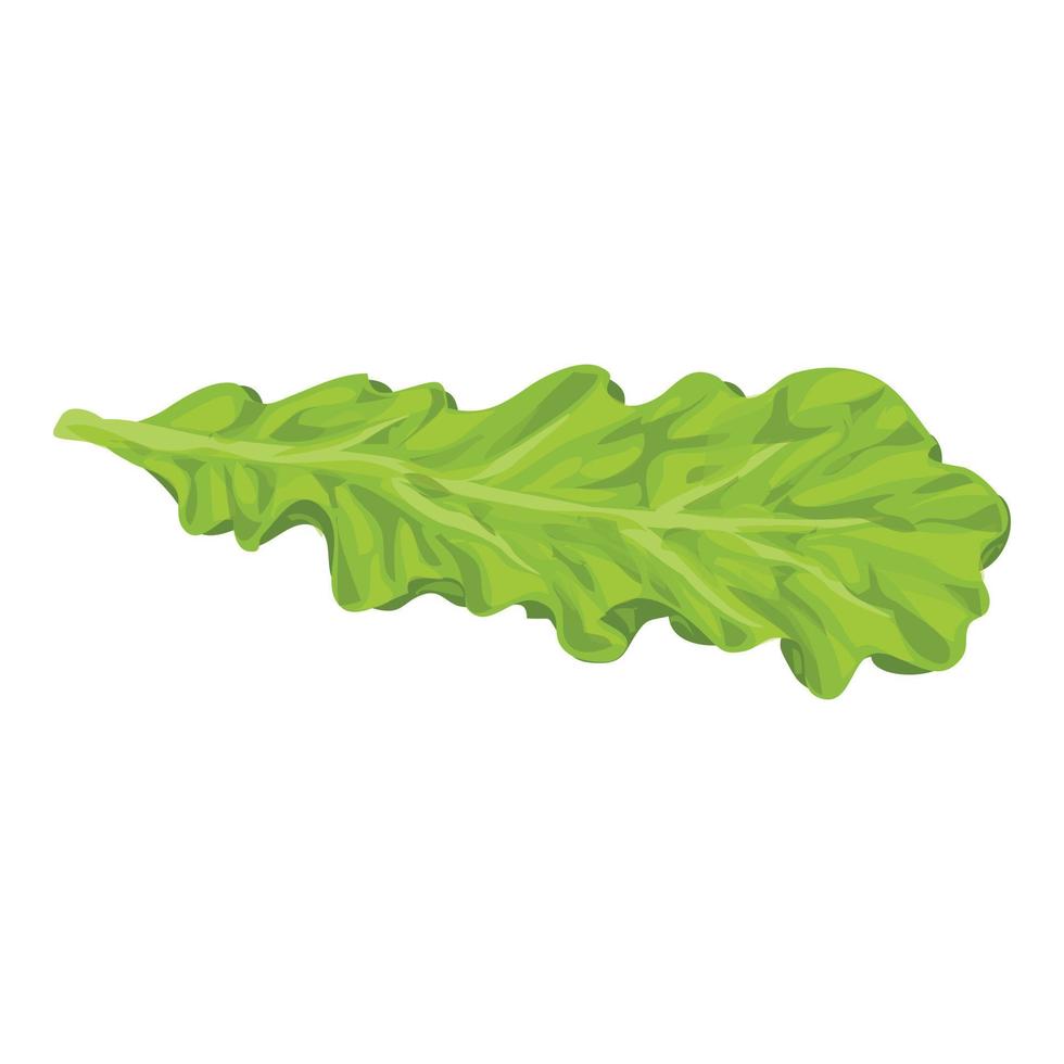 Salad leaf icon, cartoon style vector