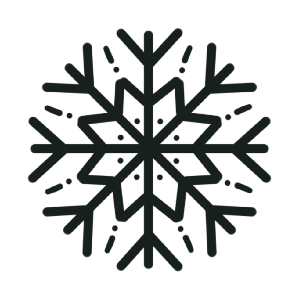 silhouette de flocon de neige. png