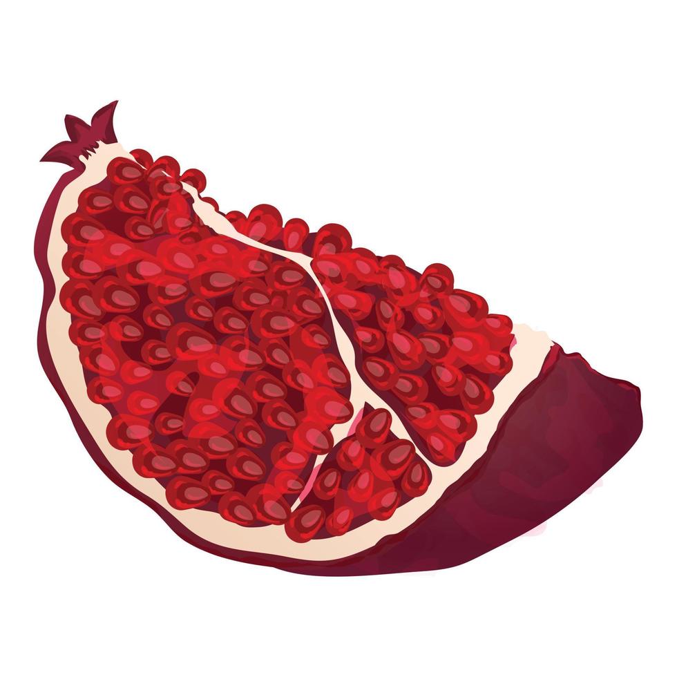 Slice pomegranate icon, cartoon style vector