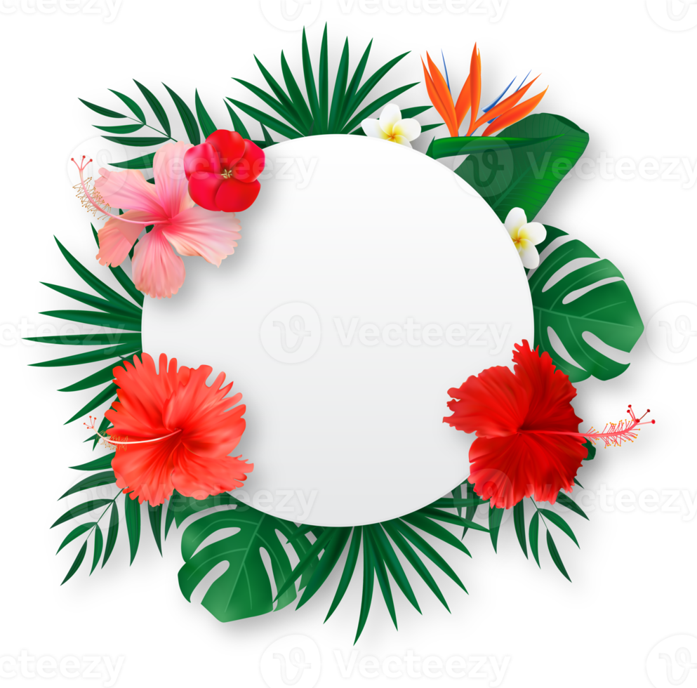 White Empty Summer Frame with Tropical Flowers png