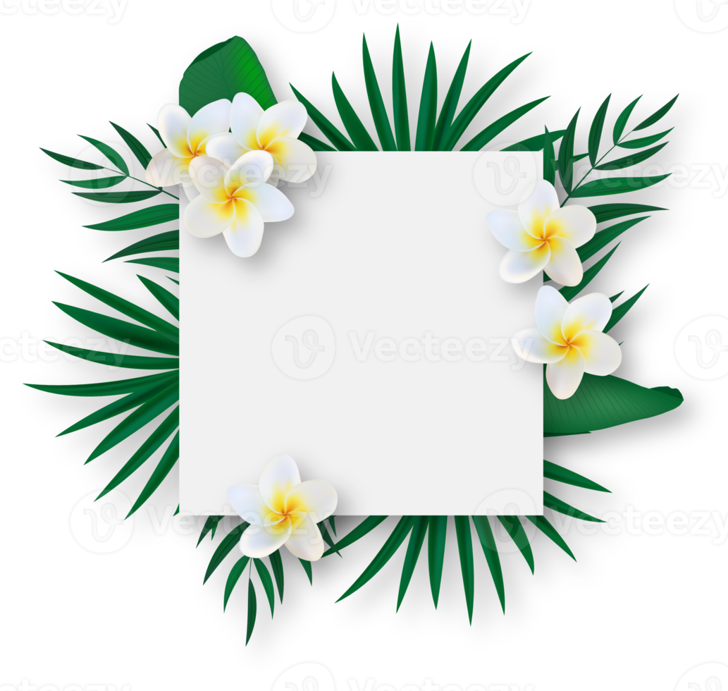 White Empty Summer Frame with Tropical Flowers png