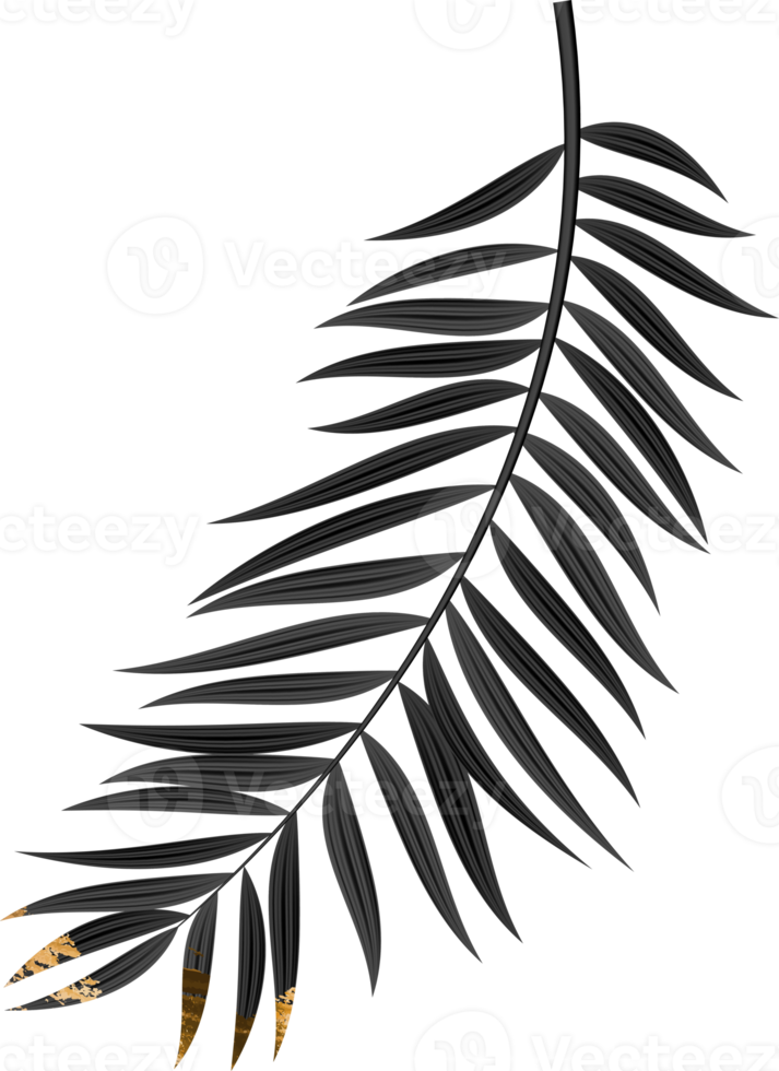 Black Grunge Palm Leaf png