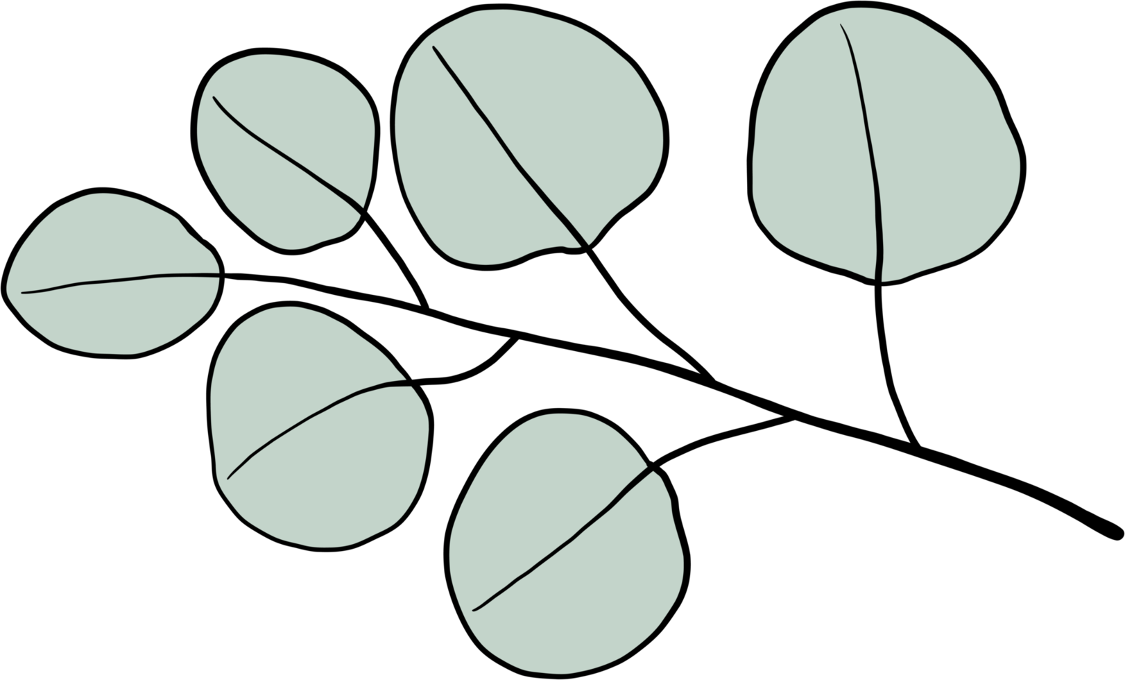 conception plate de dessin à main levée floral de simplicité. png