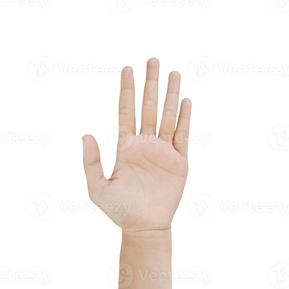 Close up Asian female hand show Number Five finger, palm hand in front, sign arm and hand isolated background copy space symbol png