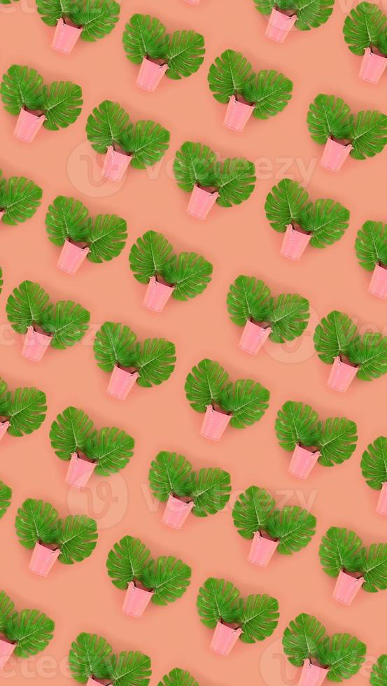 Tropical palm monstera leaves lies in a pastel pails on a colored background. Flat lay trendy minimal pattern. Top view photo