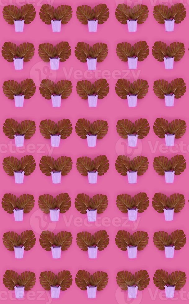 Tropical palm monstera leaves lies in a pastel pails on a colored background. Flat lay trendy minimal pattern. Top view photo