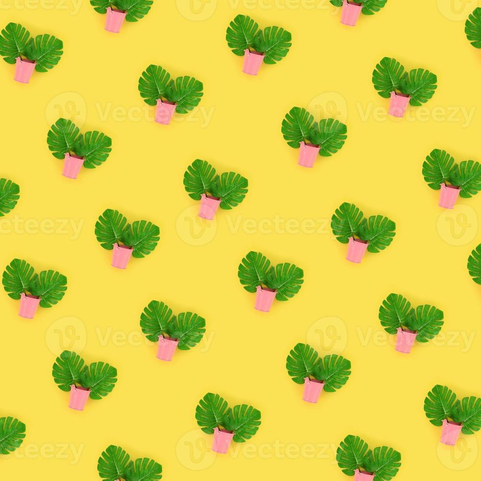 Tropical palm monstera leaves lies in a pastel pails on a colored background. Flat lay trendy minimal pattern. Top view photo