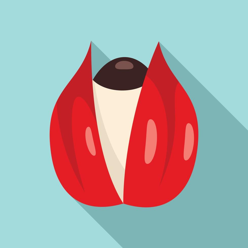 Tropical fruit superfood icon, flat style vector
