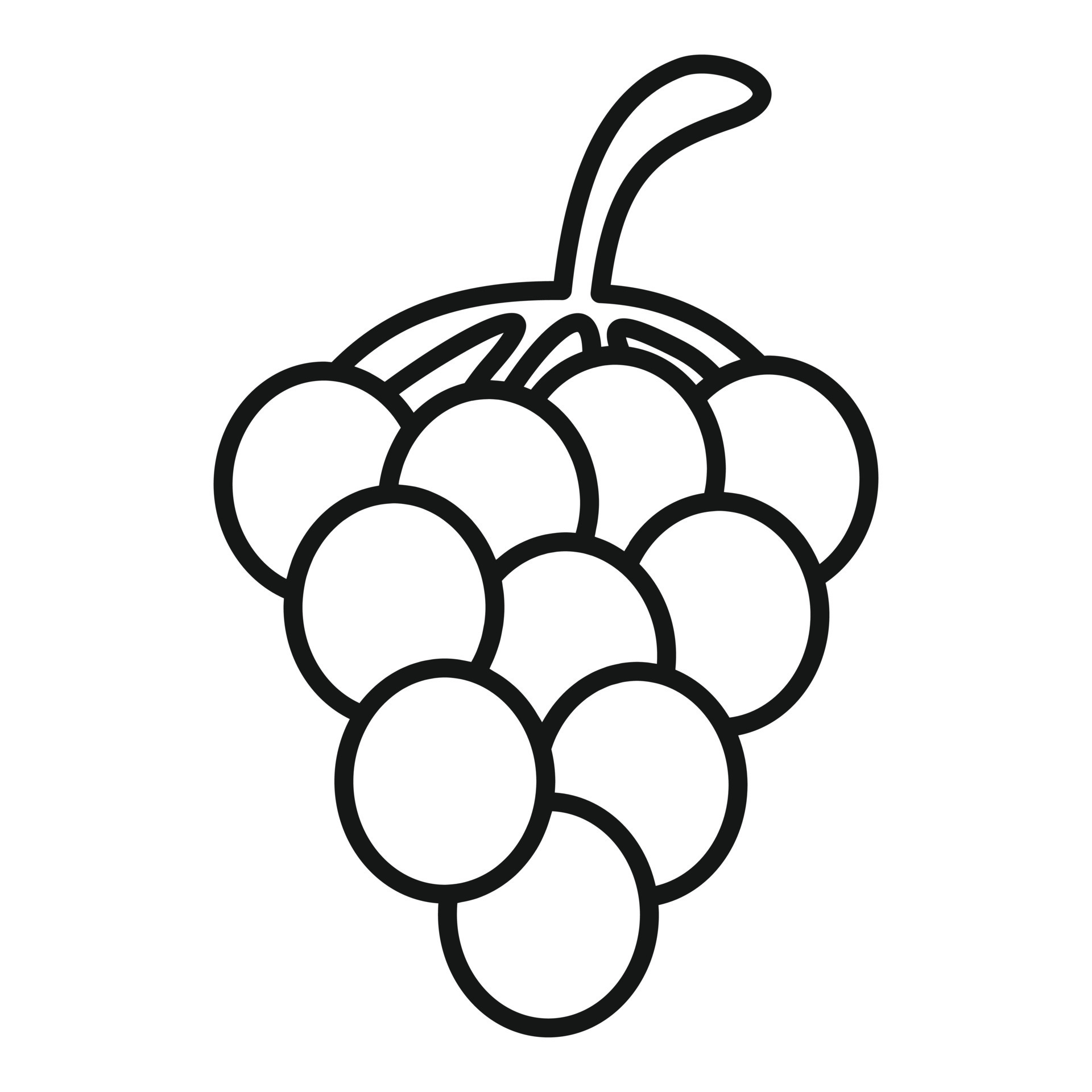 Grape Vector Outline