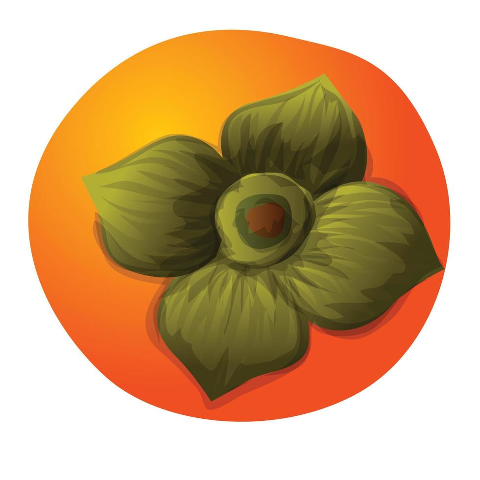 Top view persimmon icon, cartoon style vector