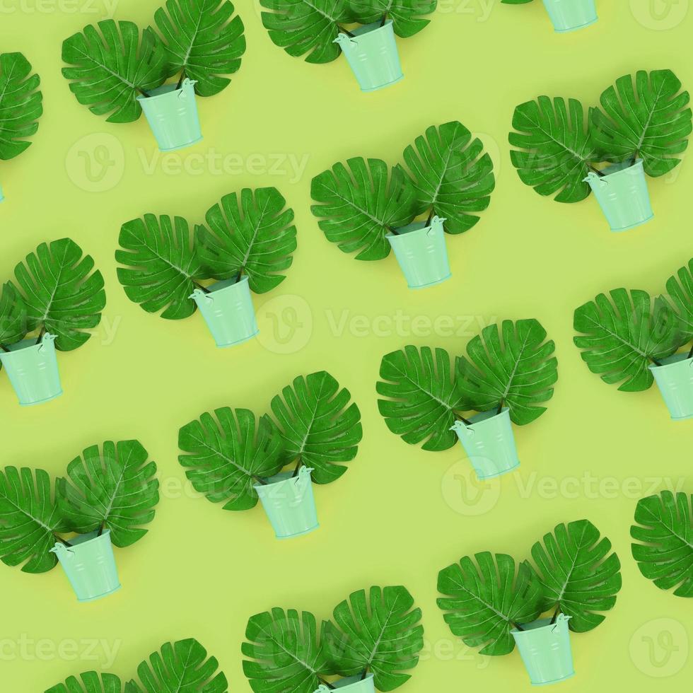 Tropical palm monstera leaves lies in a pastel pails on a colored background. Flat lay trendy minimal pattern. Top view photo