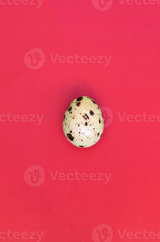 One quail egg on a light red surface, top view, empty place for text photo