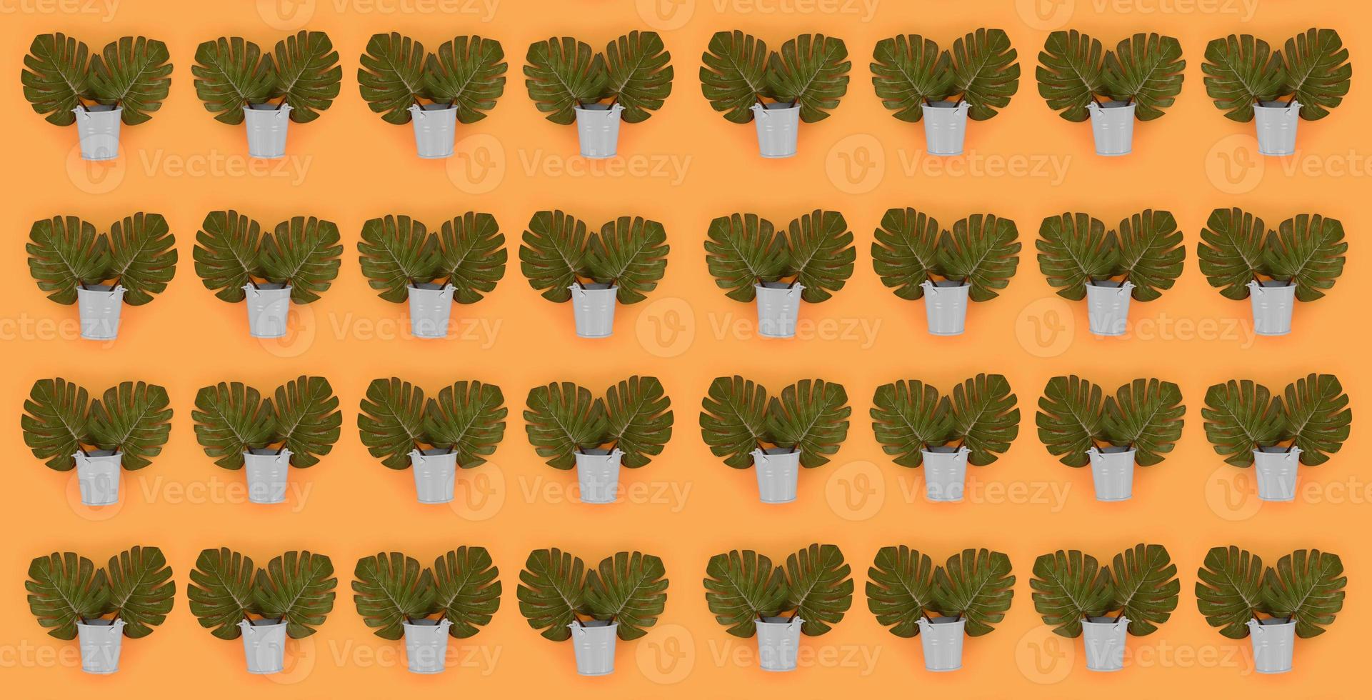 Tropical palm monstera leaves lies in a pastel pails on a colored background. Flat lay trendy minimal pattern. Top view photo